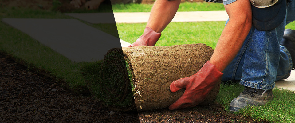 Bloomington Landscapers